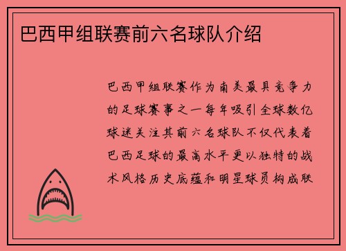 巴西甲组联赛前六名球队介绍