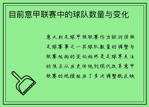 目前意甲联赛中的球队数量与变化