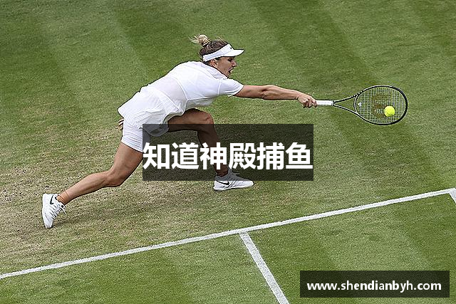 知道神殿捕鱼